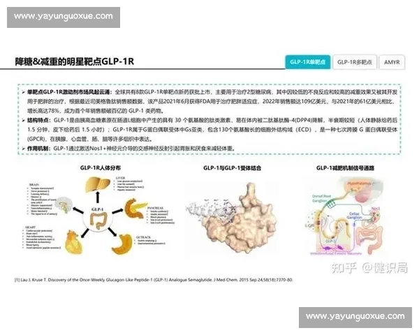 法国对阵美国的实力碰撞与国际格局走向观察全面解析未来竞争态势 法国对阵美国的实力碰撞与国际格局走向观察全面解析未来竞争态势